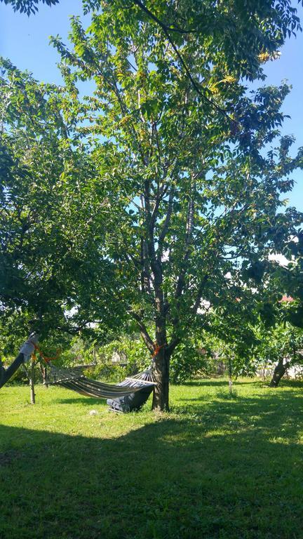 Green Garden Guesthouse Shkodër Dış mekan fotoğraf