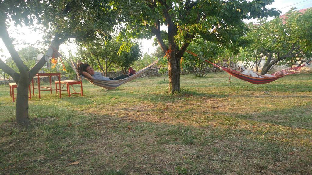 Green Garden Guesthouse Shkodër Dış mekan fotoğraf